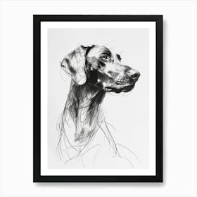 Weimaraner Dog Charcoal Line 3 Art Print