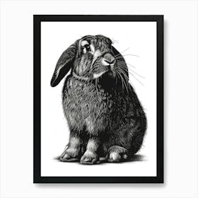 American Fuzzy Lop Black Blockprint Rabbit Illustration 1 Art Print