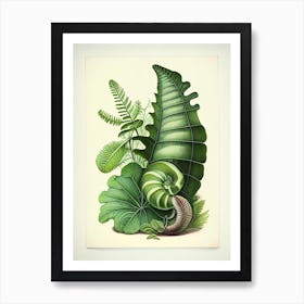 Snail With Fern Leaves 1 Botanical Art Print