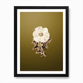 Gold Botanical Mexican Poppy Flower Branch on Dune Yellow n.3721 Art Print