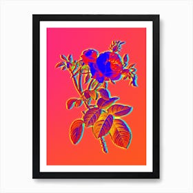 Neon Pink Cabbage Rose de Mai Botanical in Hot Pink and Electric Blue n.0036 Art Print