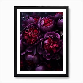 Purple Peonies Art Print