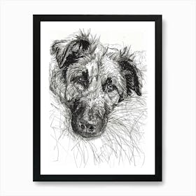 Anatolian Shepherd Dog Line Sketch 1 Art Print