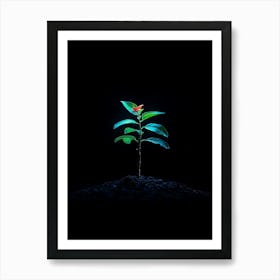 Small Green Plant On Black Background 28 Art Print