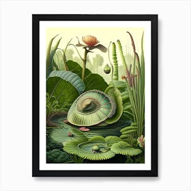 Garden Snail In Wetlands Botanical Art Print