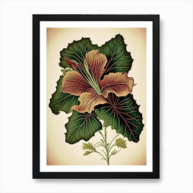 Hibiscus Leaf Vintage Botanical 3 Art Print