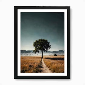 Lone Tree 31 Art Print