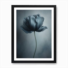 Black Flower 1 Art Print