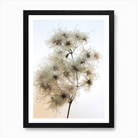 Florales · Plant End 8 Art Print