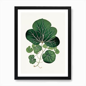 Purslane Leaf Vintage Botanical 2 Art Print