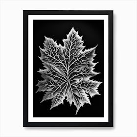 Sugar Maple Leaf Linocut 3 Art Print