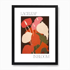 Laceleaf In Bloom Flowers Bold Illustration 2 Art Print