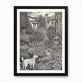 Drawing Of A Dog In Alhambra Gardens, Spain In The Style Of Black And White Colouring Pages Line Art 01 Art Print