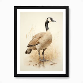 Vintage Bird Drawing Canada Goose 3 Art Print