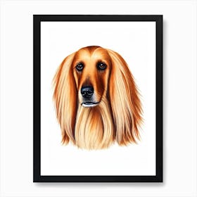 Afghan Hound 2 Illustration Dog Art Print