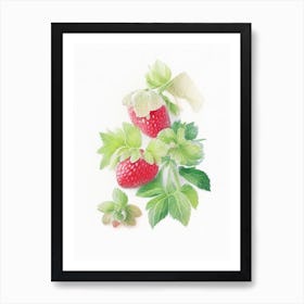 Alpine Strawberries, Plant, Pastel Watercolour Art Print