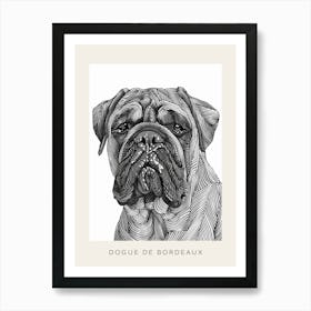 Dogue De Bordeaux Line Sketch 1 Poster Art Print