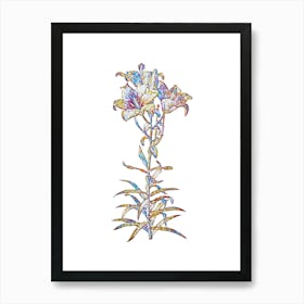 Stained Glass Fire Lily Mosaic Botanical Illustration on White n.0043 Art Print