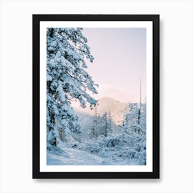 Winter Mountain Sunset Art Print