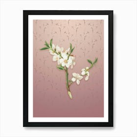 Vintage Almond Tree Flower Botanical on Dusty Pink Pattern n.2204 Art Print