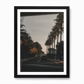 Palm Trees On The Road Art Print