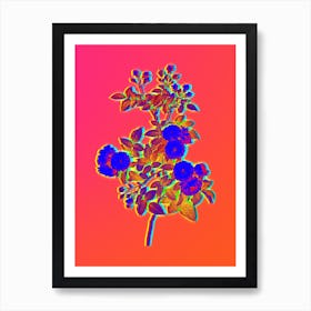 Neon Pink Baby Roses Botanical in Hot Pink and Electric Blue n.0081 Art Print