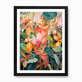 Tropical Plant Painting Rubber Tree Plant 1 Art Print