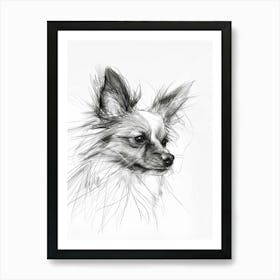 Papillon Dog Charcoal Line 3 Art Print