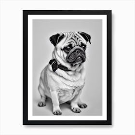 Pug B&W Pencil Dog Art Print