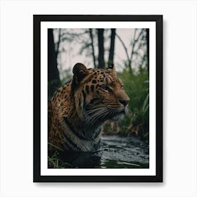 Leopard In The Water Art Print