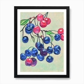 Sour Cherry 1 Vintage Sketch Fruit Art Print