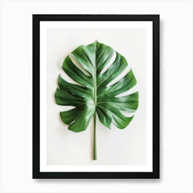 Monstera Leaf 5 Art Print