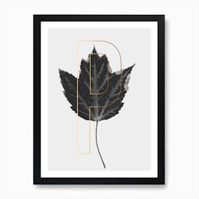 Abc Plant P Art Print