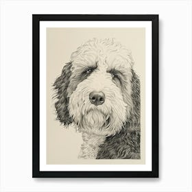 Old English Sheepdog Line Sketch 4 Art Print