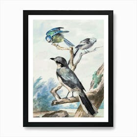 Three Birds Perched On A Branch Art Print