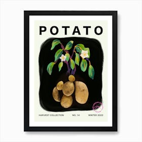 Potato Vegetable Kitchen Typography Art Print