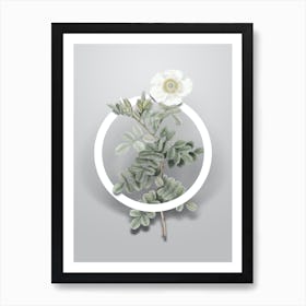 Vintage Macartney Rose Minimalist Flower Geometric Circle on Soft Gray n.0111 Art Print