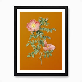 Vintage Red Sweetbriar Rose Botanical on Sunset Orange n.0632 Art Print