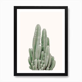 Small Cactus Plant Art Print