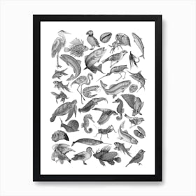 Animal Flash Art Print