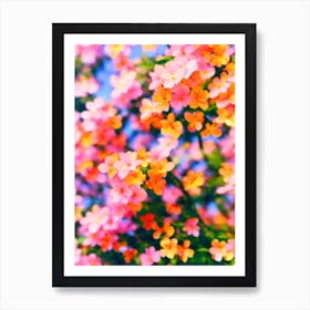 Pink Jasmine Colourful Illustration Art Print