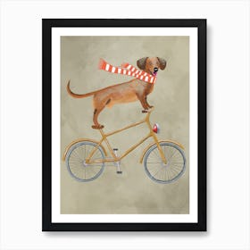 Dachshund On Bicycle With Sjawl Art Print