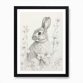 Britannia Petite Rabbit Drawing 2 Art Print