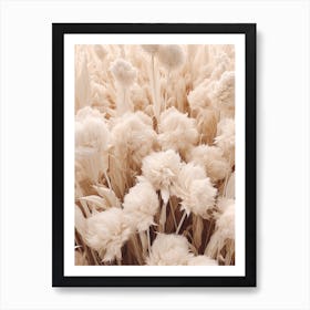 Boho Dried Flowers Celosia 1 Art Print