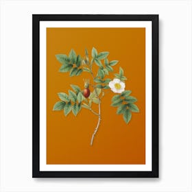 Aazqt Vintage Mountain Rose Bloom Botanical On Sunset Orange N Art Print