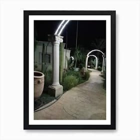 Garden At Night Art Print