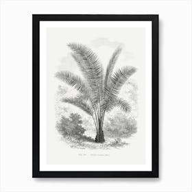 Vintage Palm Tree Drawing Art Print