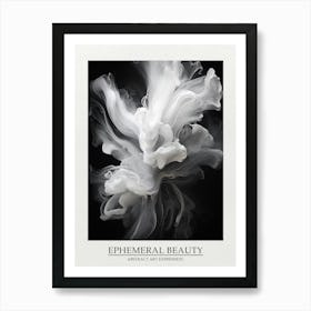 Ephemeral Beauty Abstract Black And White 8 Poster Art Print