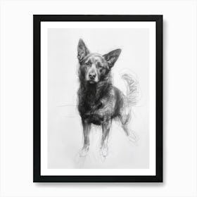 Norwegian Buhund Dog Charcoal Line 3 Art Print