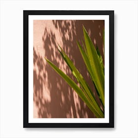 Lisbon Botanical Gardens Plant Pink Light Portugal Art Print